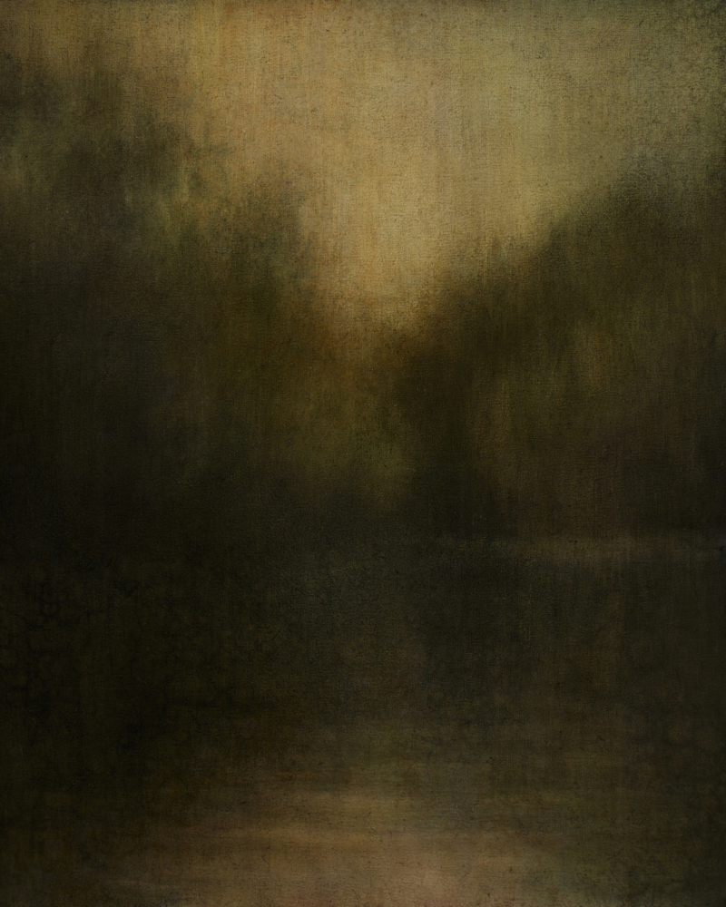 Maya Kulenovic: WETLANDS / QUIESCENCE, 2013, oil on canvas, 32" x 28" (81cm x 71cm). 'Land' Series.
