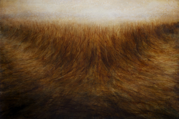 Maya Kulenovic: GRASSLANDS / DELTA, 2017, oil on canvas, 54" x 78.2", 137.5cm x 198.5cm. 'Land' Series, 'Grasslands' Series.