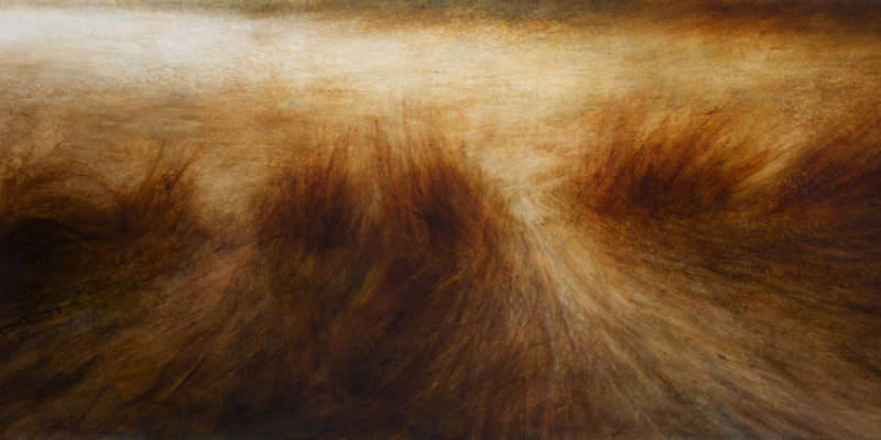 Maya Kulenovic: GRASSLANDS / DOWNSTREAM, 2017, oil on canvas, 40" X 94" (102cm X 238cm). 'Land' Series; 'Grasslands' Series.