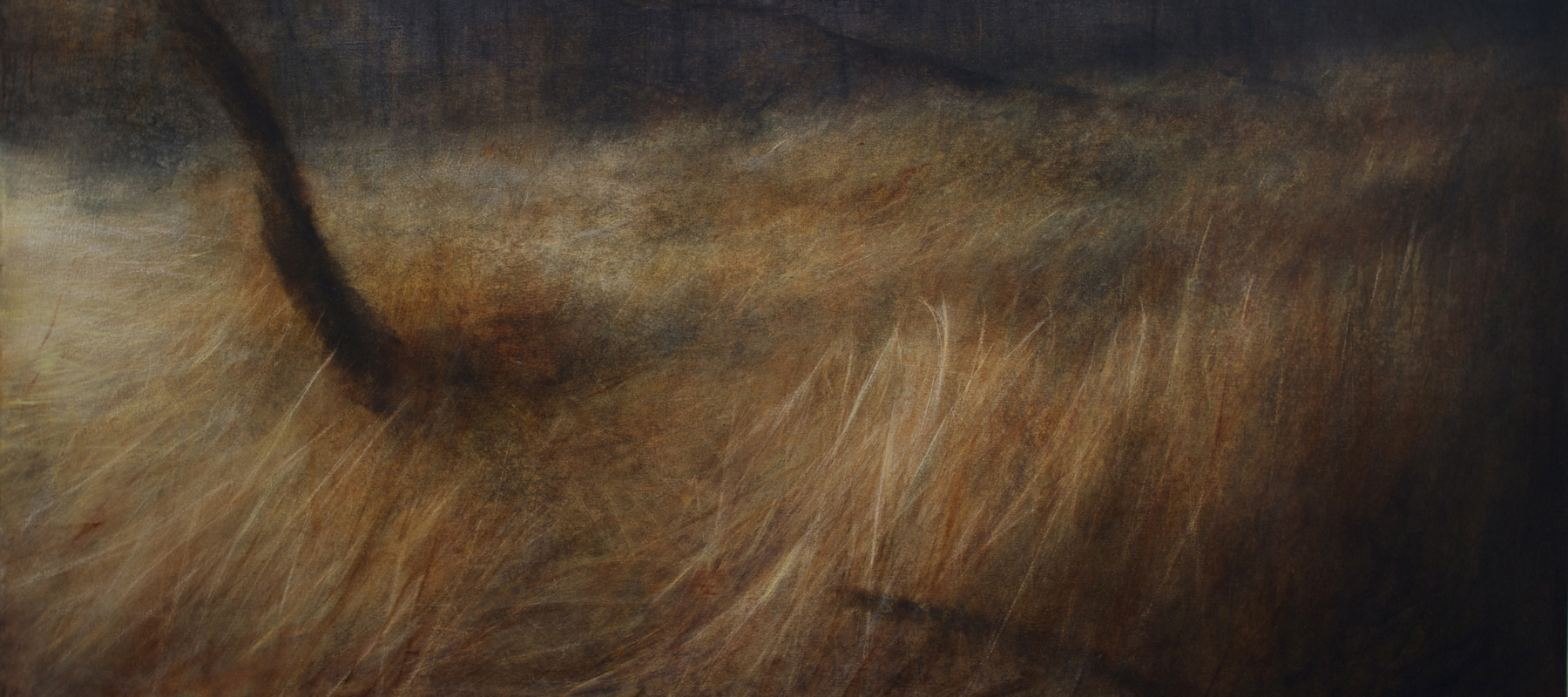 Maya Kulenovic: GRASSLANDS / LOCUS, 2018, oil on canvas, 32.5" x 67.5" (83cm x 171cm). 'Land' Series; 'Grasslands' Series.